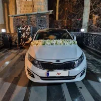 اپتیما خانگی عالی درجه یک