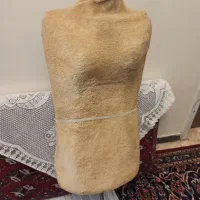 مانکن