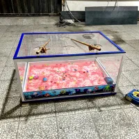 میز ماهیگیری خانه بازی مهد کودک|اسباببازی|تهران, پونک|دیوار