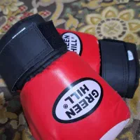 دستکش بوکس نونو