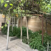 اجاره حیاط ویلایی رجایی شهر ۲ طبقه
