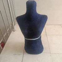 مانکن سوزن خور