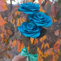 رز روبانی|گل مصنوعی|مشگین شهر, |دیوار