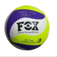 همبازی والیبال نشسته ویژه معلولین