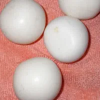 سنگ اسیاب قیمتی|جواهرات|بروجرد, |دیوار