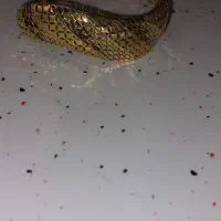 دستبندطلا نو|جواهرات|کاشان, دانش|دیوار