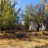 400 متر باغچه کردزار سند دار کاسبی|فروش خانه و ویلا|شهریار, کردزار|دیوار