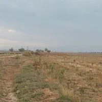 زمین کشاورزی با سهمیه آب موتور|فروش زمین و ملک کلنگی|زاویه, |دیوار