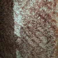 موکت|موکت|همدان, |دیوار