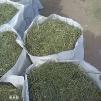 یونجه خورد شده سبز پر برگ|حیوانات مزرعه|بندرعباس, |دیوار