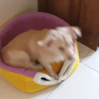 واگذاری تفافقی