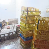 مرغ فروشی واگذار میشود