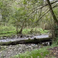 راهنمایی بدید واسه تفریح