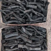 زغال پسته(سرشاخ-قلم)|عمده‌فروشی|سیرجان, |دیوار