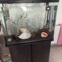 فروش آکواریوم