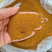خاک شیر|عمده‌فروشی|شیراز, هفت تنان|دیوار