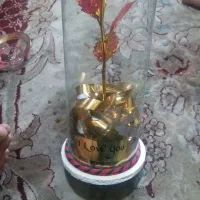 گل معصنوعی رنگ شیشه ای|گل مصنوعی|ری, جوانمرد قصاب|دیوار