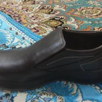 کفش نومردانه