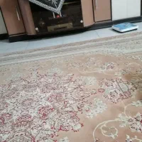 اپارتمان