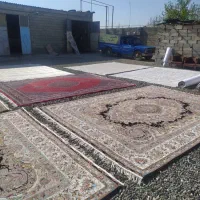 قالی شویی یاس(برتر)