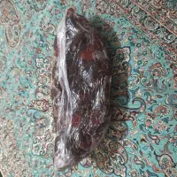 خرما کبکاب دشتستان