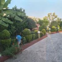 هرس گل و گیاه شخم کود سم|خدمات باغبانی و درختکاری|تنکابن, |دیوار