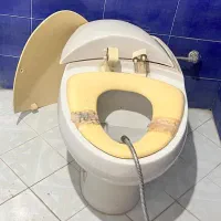 توالت فرنگی