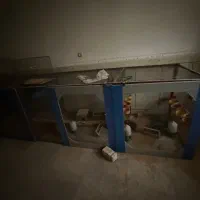 قفس بزرگ پرنده|لوازم جانبی حیوانات|بندر دیر, |دیوار