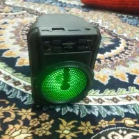 اسپیکر|سیستم صوتی خانگی|رودان, |دیوار