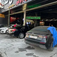 نقاش و لیسه گیر ماهر