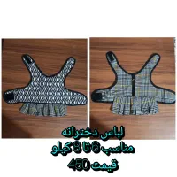 لباس پیراهن سرهمی قلاده جاخواب سگ پت حیوان خانگی|لوازم جانبی حیوانات|تهران, هاشمی|دیوار