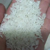 برنج پاکستانی  ۳۵ کیلویی|خوردنی و آشامیدنی|تهران, مولوی|دیوار