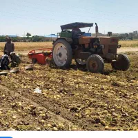 زمین کشاورزی