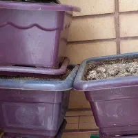 سه عدد گلدان یک شکل و یک گلدان سفید