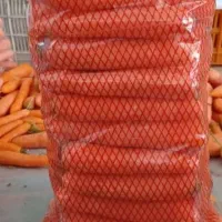 گل کلم|فعالیت داوطلبانه تحقیقاتی|دزفول, |دیوار