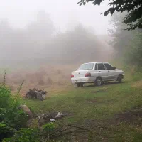 پراید ۱۳۲|خودرو سواری و وانت|نکا, |دیوار