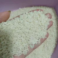 برنج هاشمی آستانه اشرفیه 100 کیلو