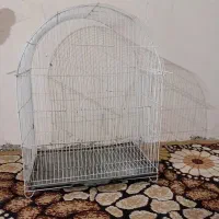 قفس پرنده|لوازم جانبی حیوانات|گرگان, |دیوار