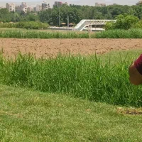باغ-روبه-روی-باغ-فدک