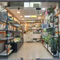 فروش مغازه تجاری با سند ملکیت بلوارمدنی|فروش مغازه و غرفه|همدان, |دیوار