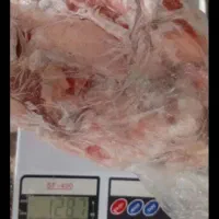 گوشت گوسفند
