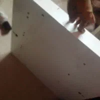 وسایل خانه|بخاری، هیتر، شومینه|اهواز, کوی طلاب|دیوار