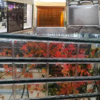 تیغه فولادی و آلومینیومی زد سرقت و تیغه شفاف