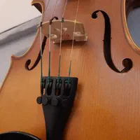 ویولن TF 142 سایز 4/4|ویولن|کرج, باغستان|دیوار