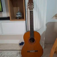 گیتار c40 اصل