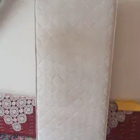 تشک نوجوان رویا