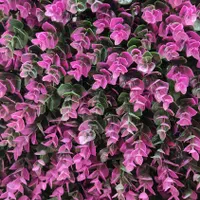 چمنِ دیواری دیوارسبز|خدمات باغبانی و درختکاری|تبریز, |دیوار