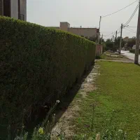 هرس کاری و چمن زنی