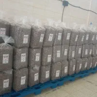 پخش تخمه کاندای