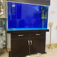 آکواریوم شیشه خم با کمد باهمه تجهیزات